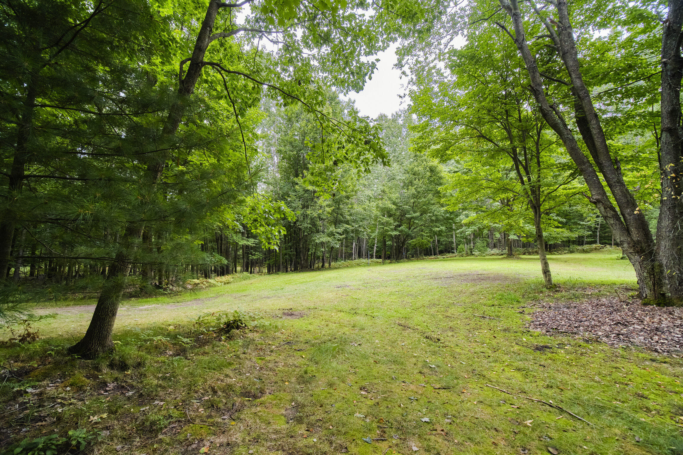 8089 Hunter's Ridge Trail
