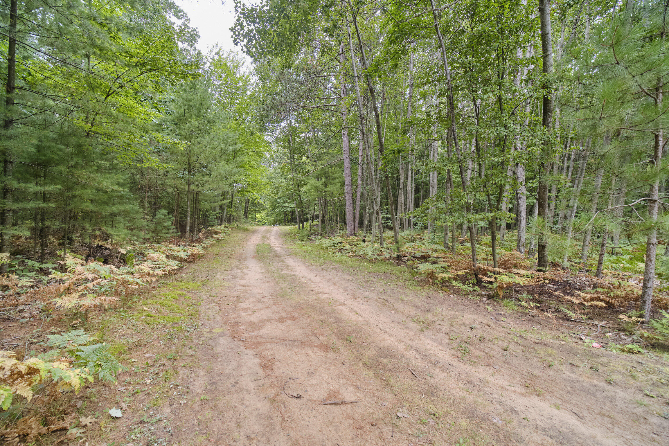 8089 Hunter's Ridge Trail