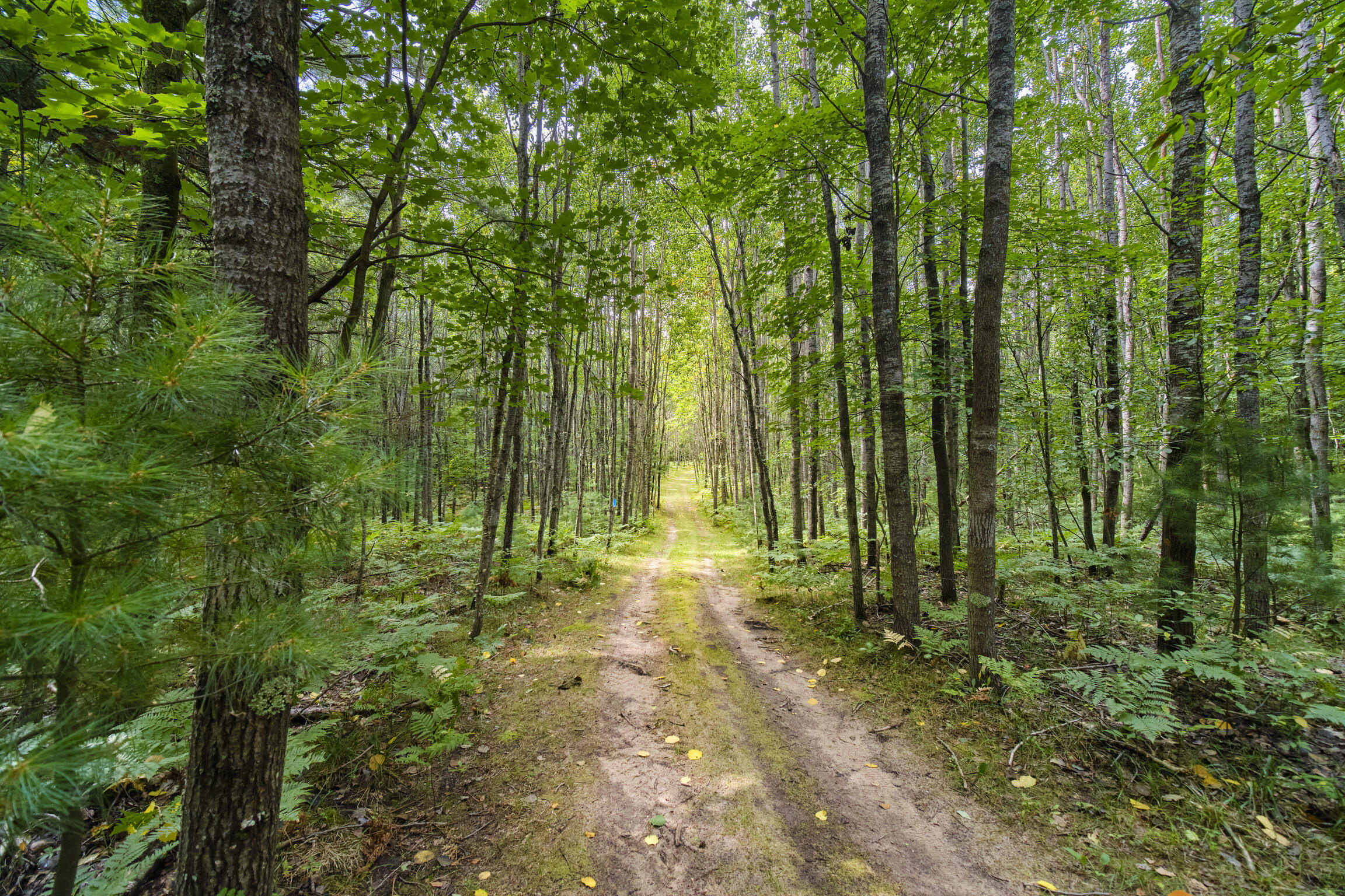 8089 Hunter's Ridge Trail