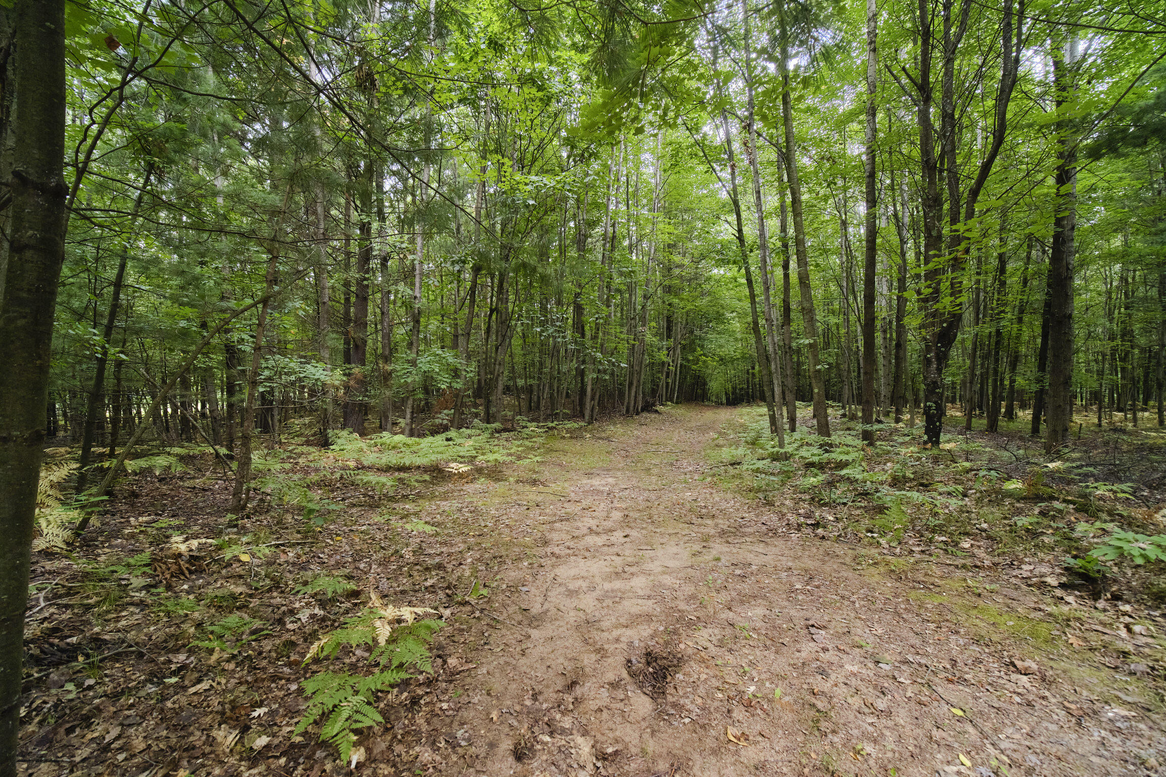 8089 Hunter's Ridge Trail