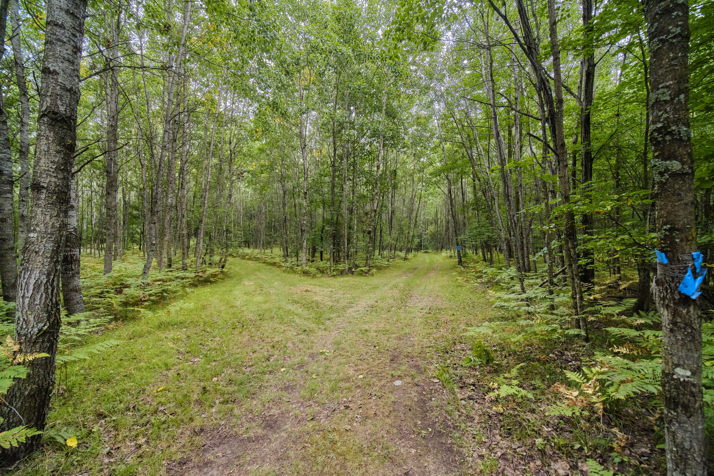 8089 Hunter's Ridge Trail