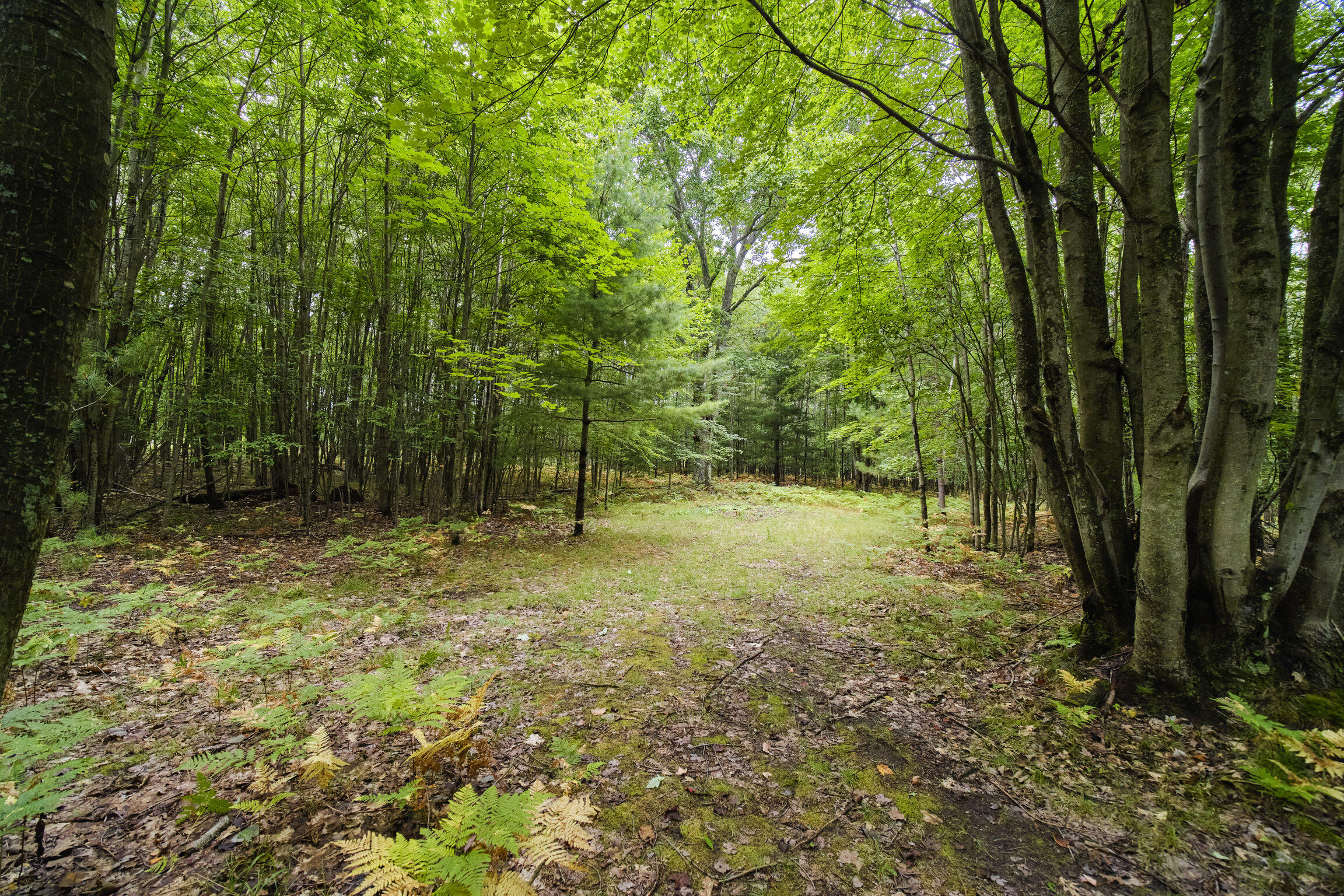 8089 Hunter's Ridge Trail