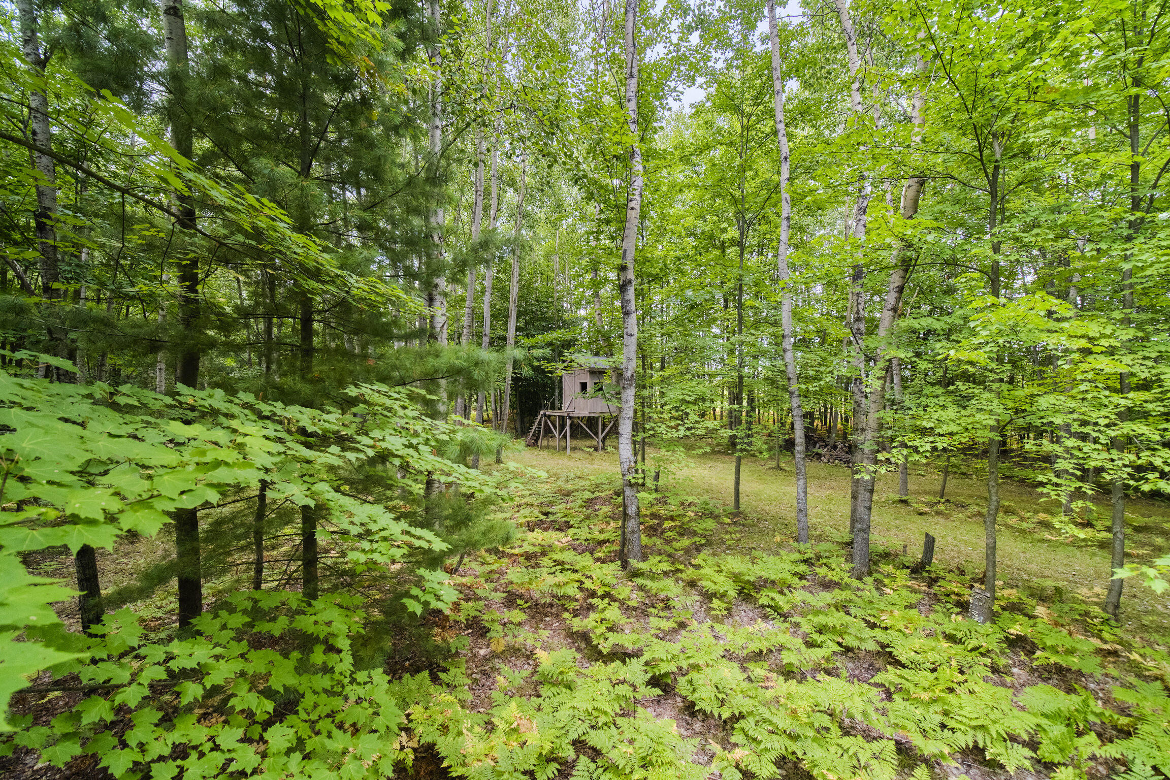 8089 Hunter's Ridge Trail