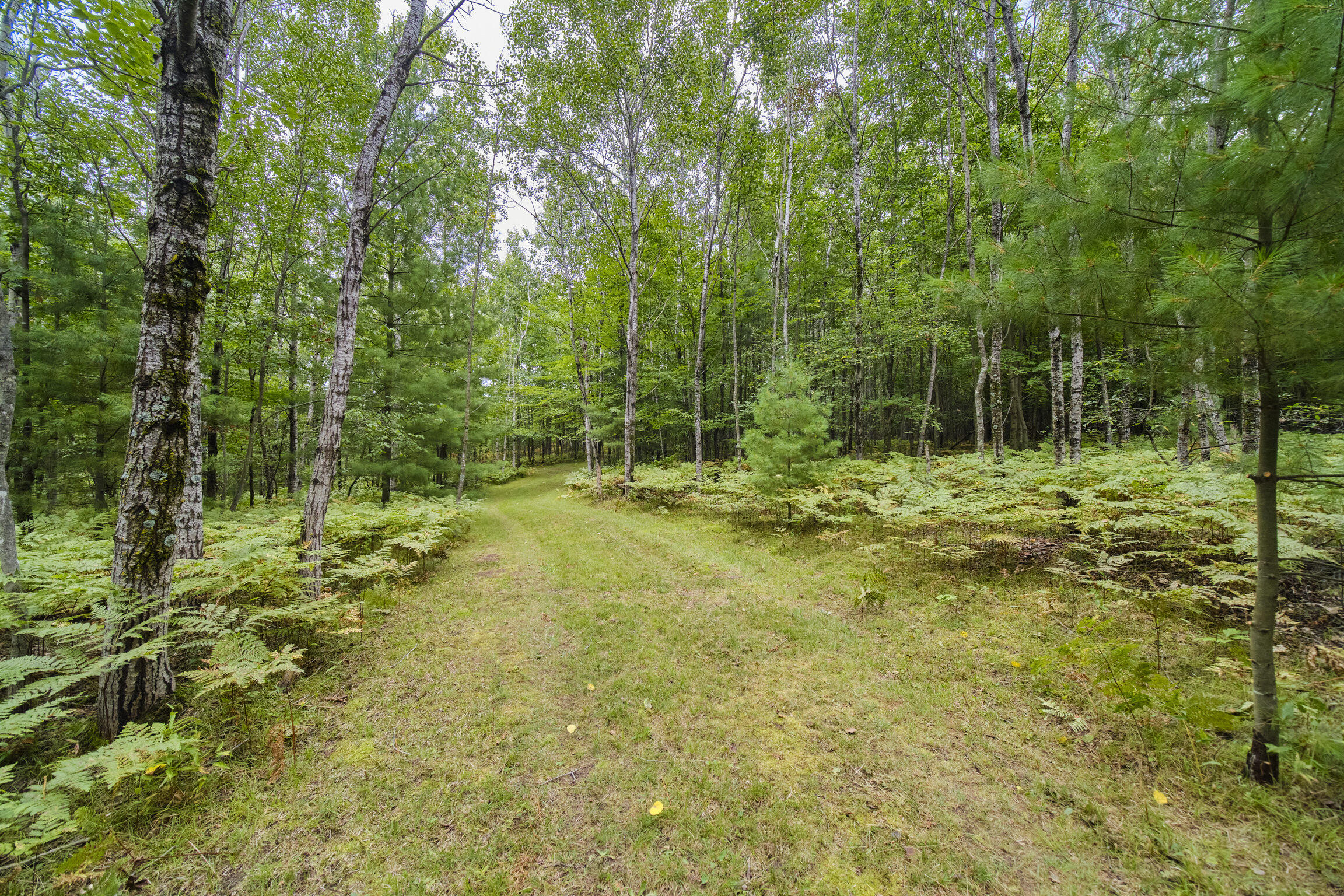 8089 Hunter's Ridge Trail