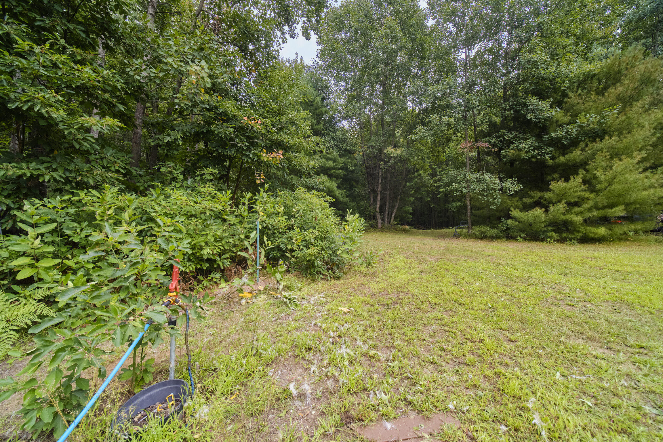 8089 Hunter's Ridge Trail