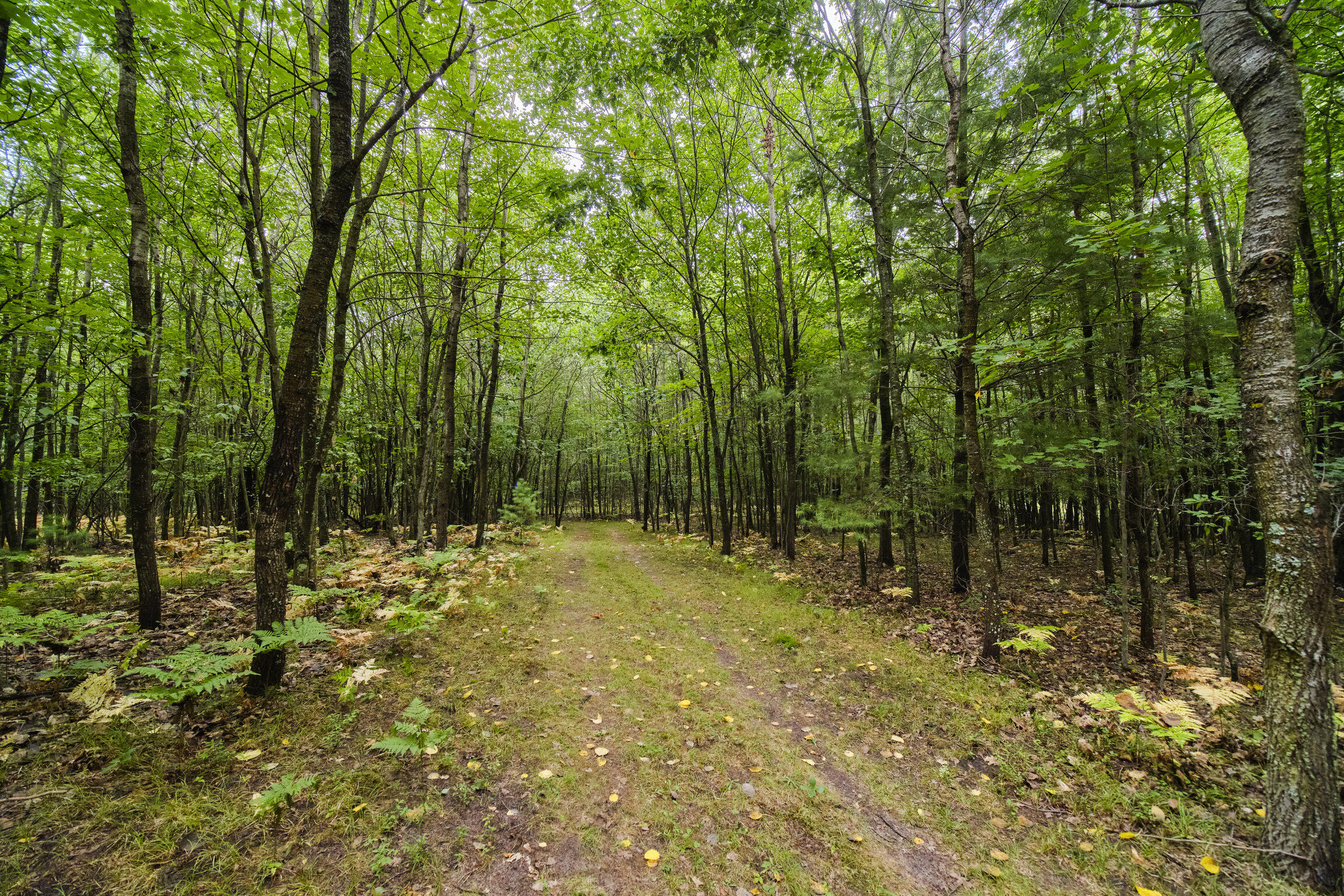 8089 Hunter's Ridge Trail