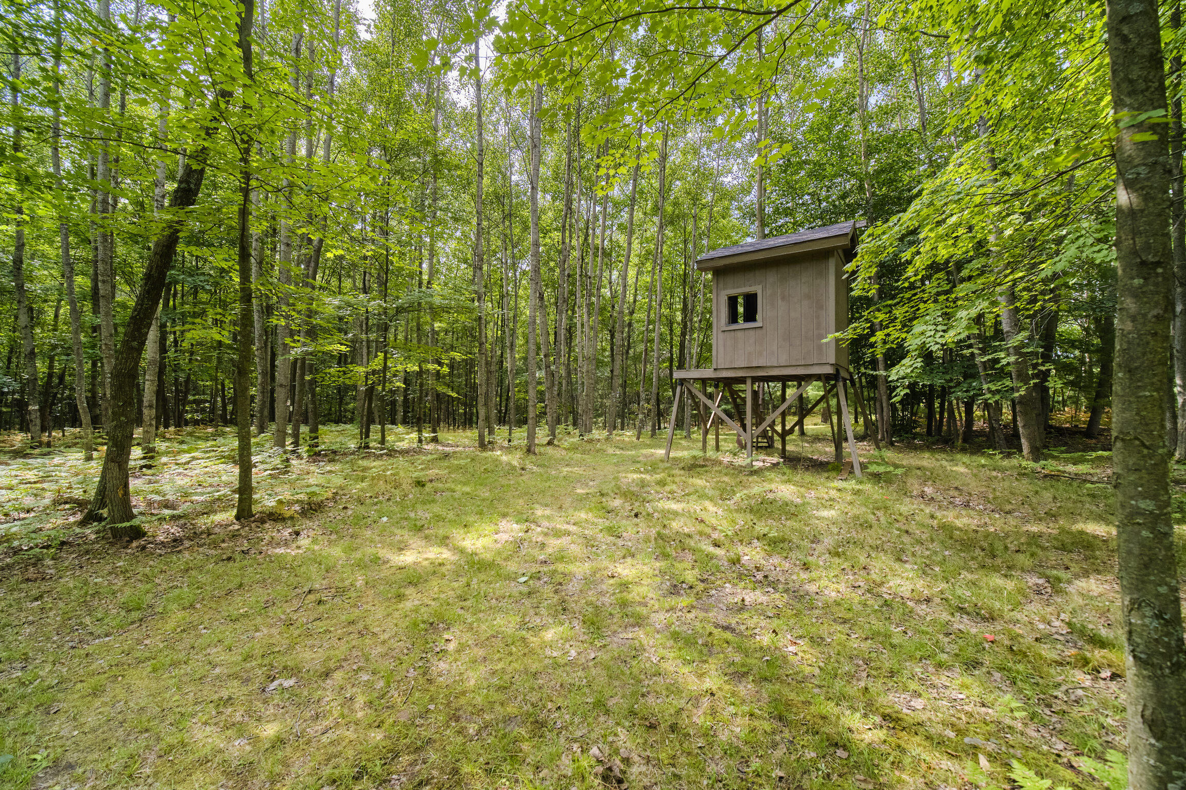 8089 Hunter's Ridge Trail