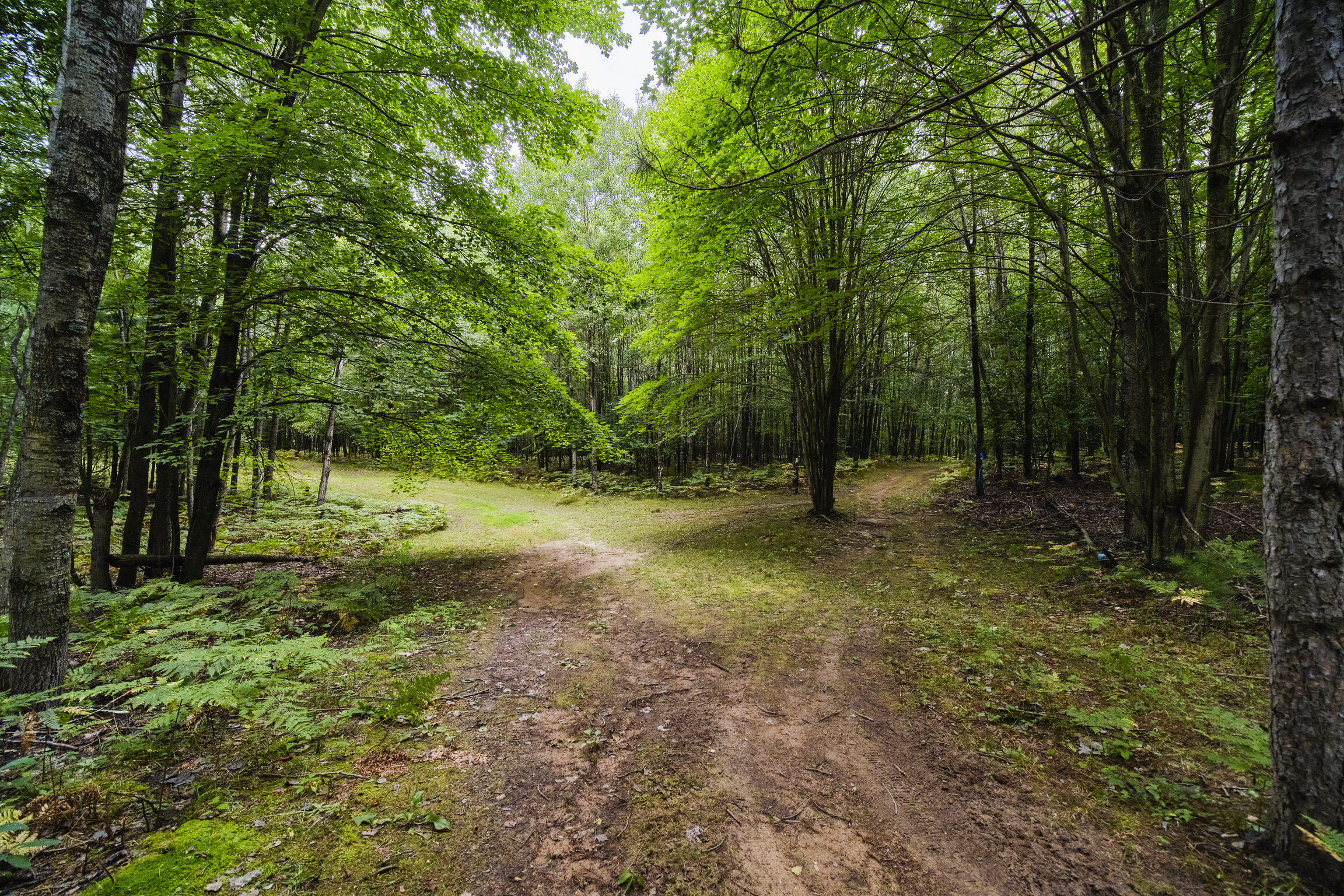 8089 Hunter's Ridge Trail