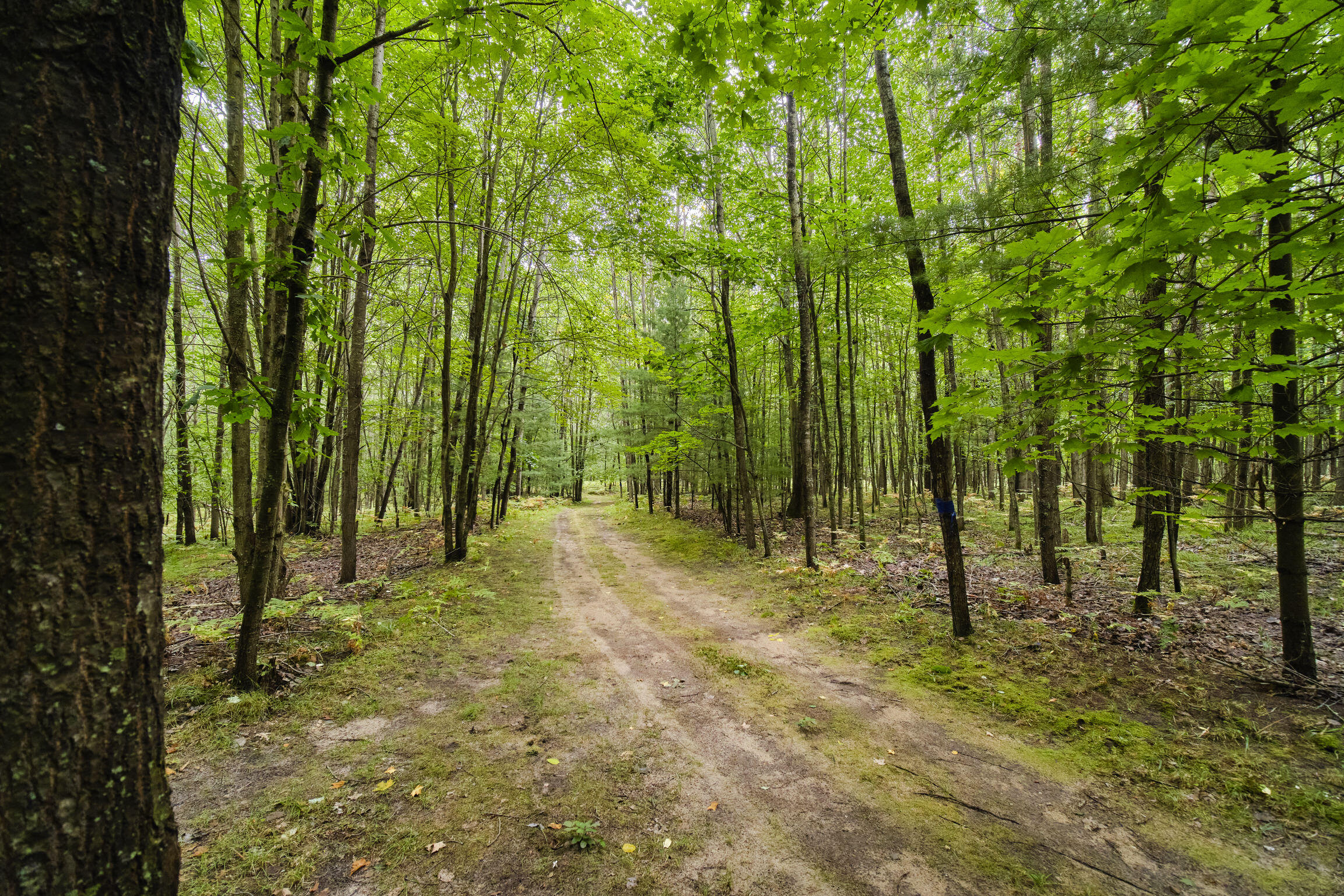 8089 Hunter's Ridge Trail