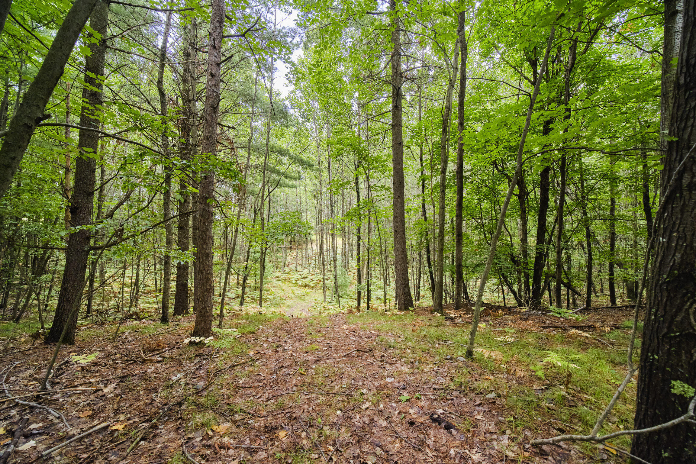8089 Hunter's Ridge Trail