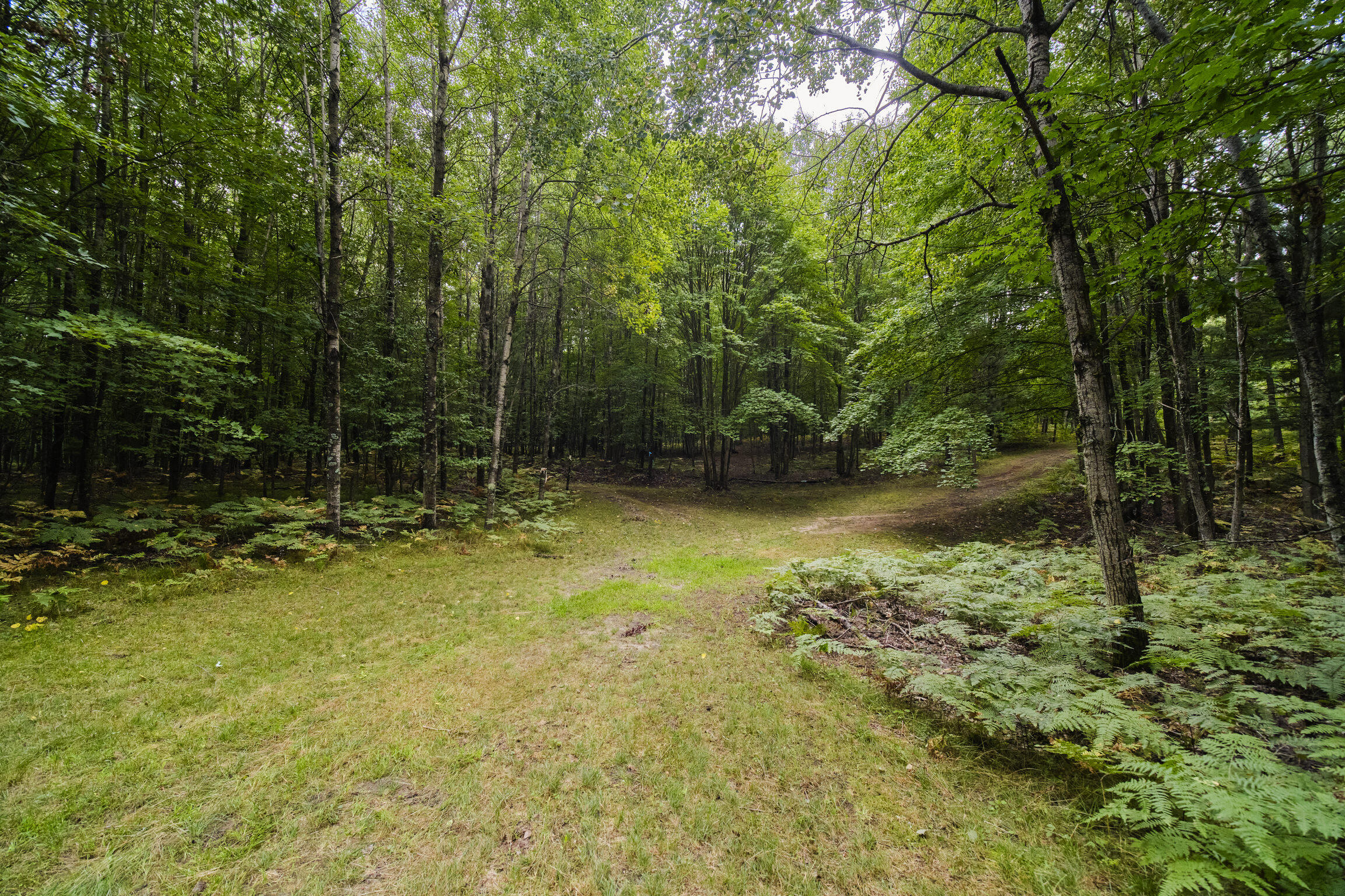 8089 Hunter's Ridge Trail