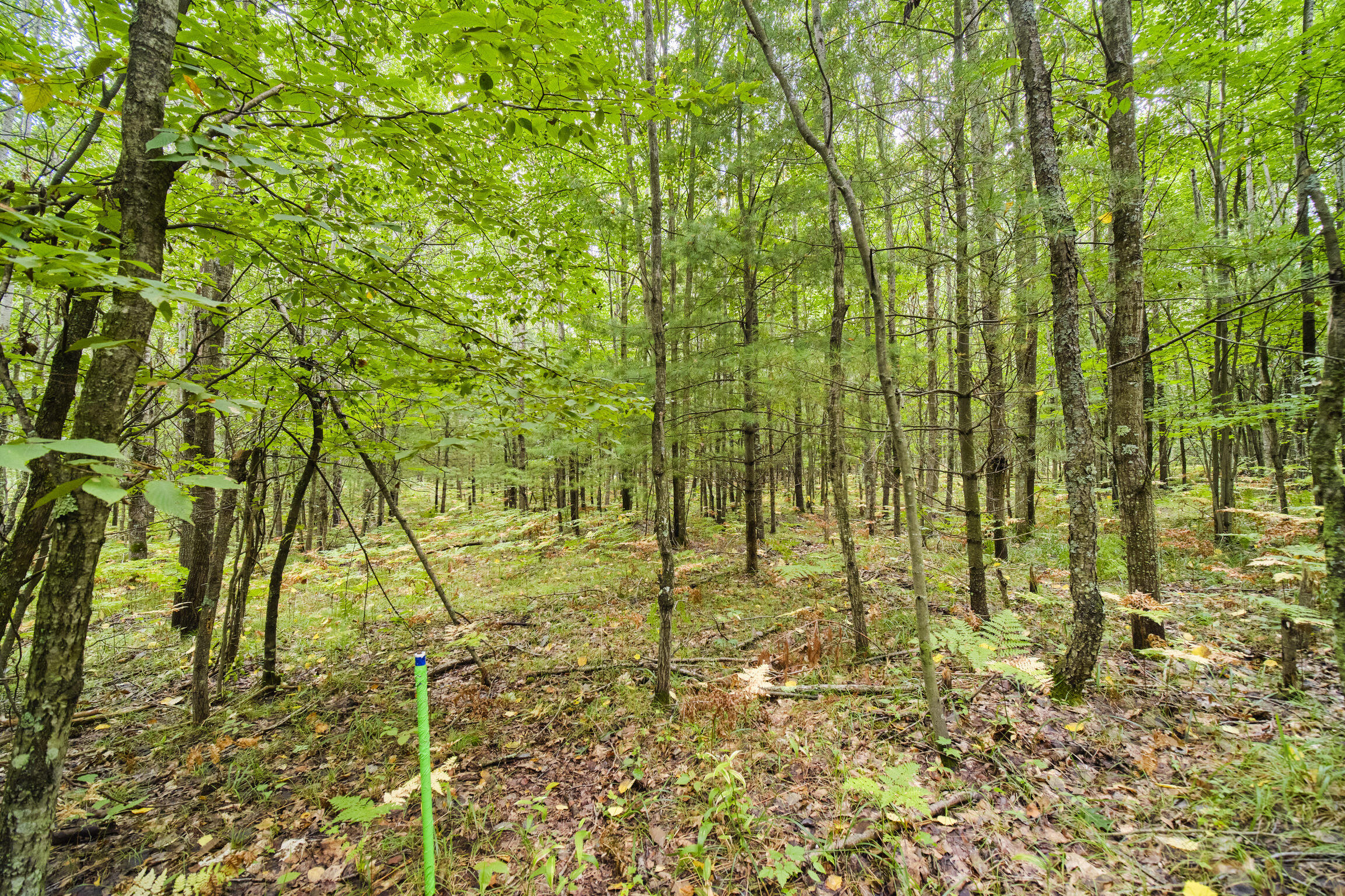 8089 Hunter's Ridge Trail