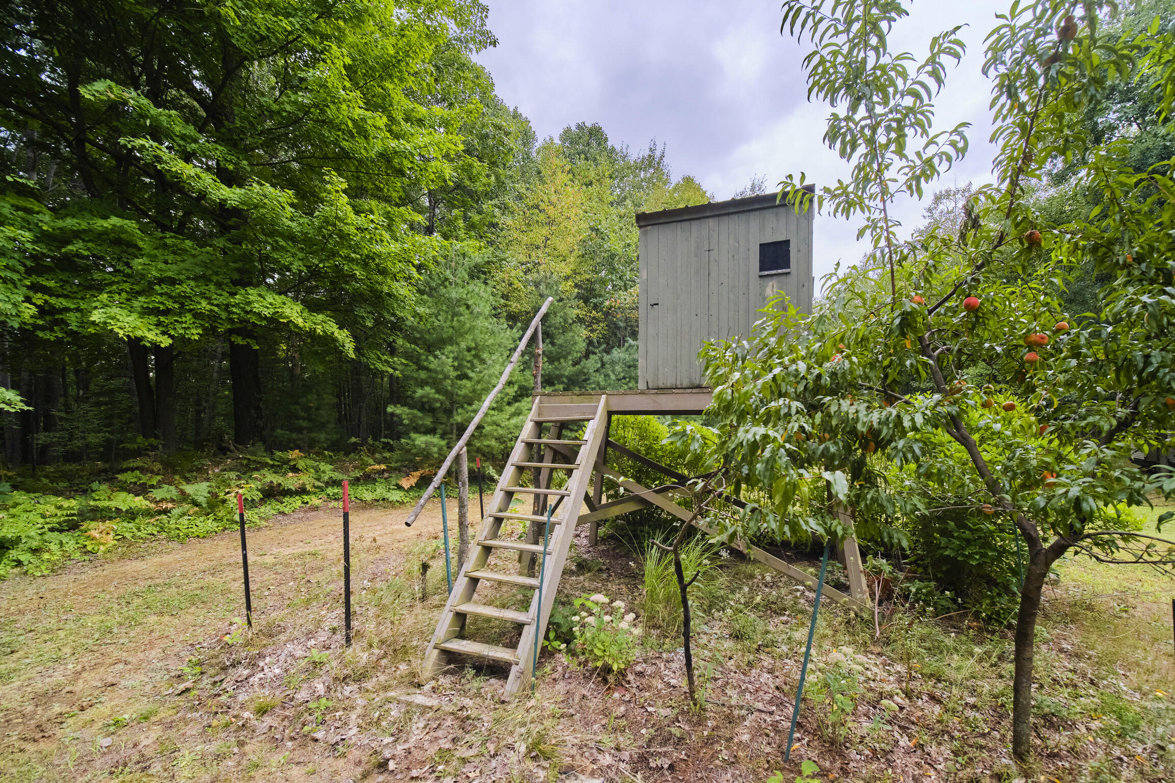 8089 Hunter's Ridge Trail