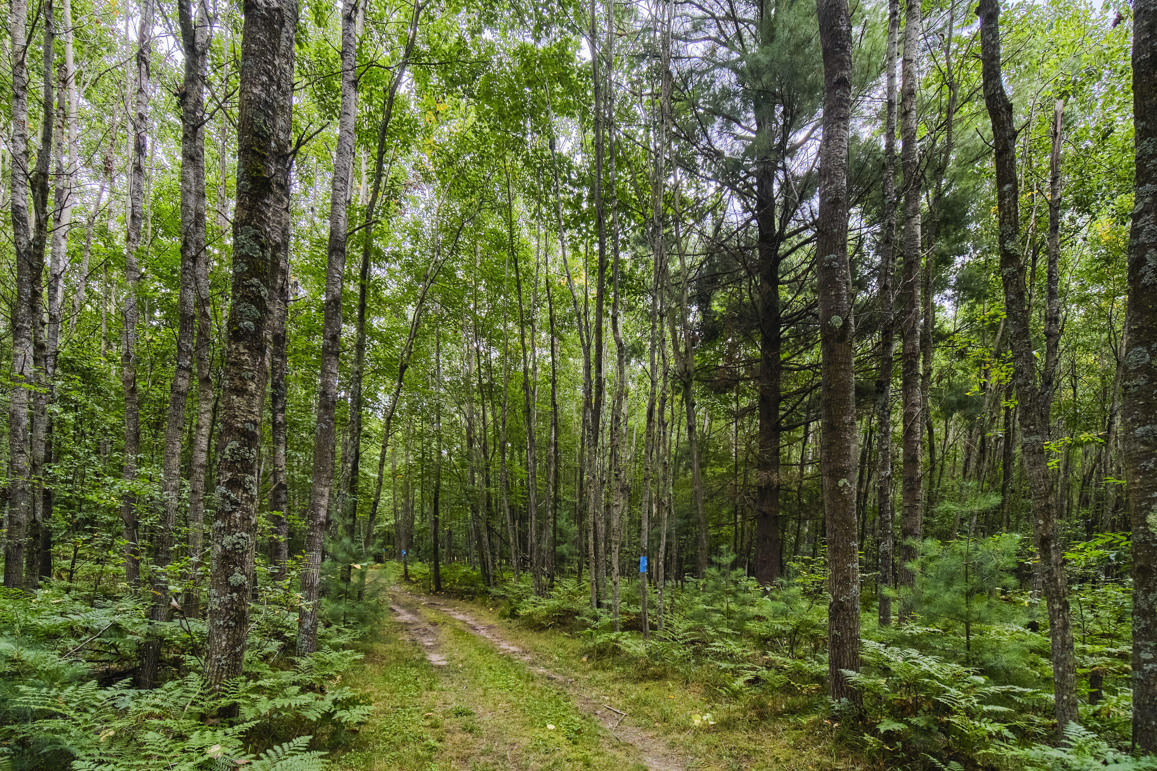 8089 Hunter's Ridge Trail