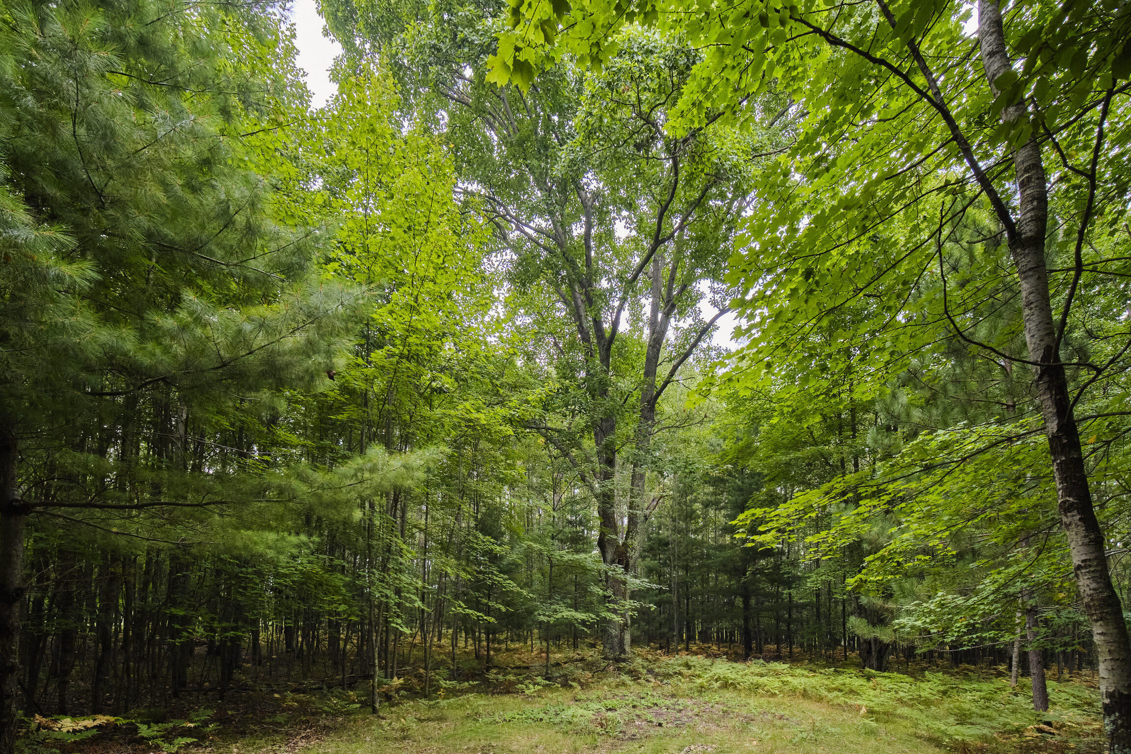 8089 Hunter's Ridge Trail