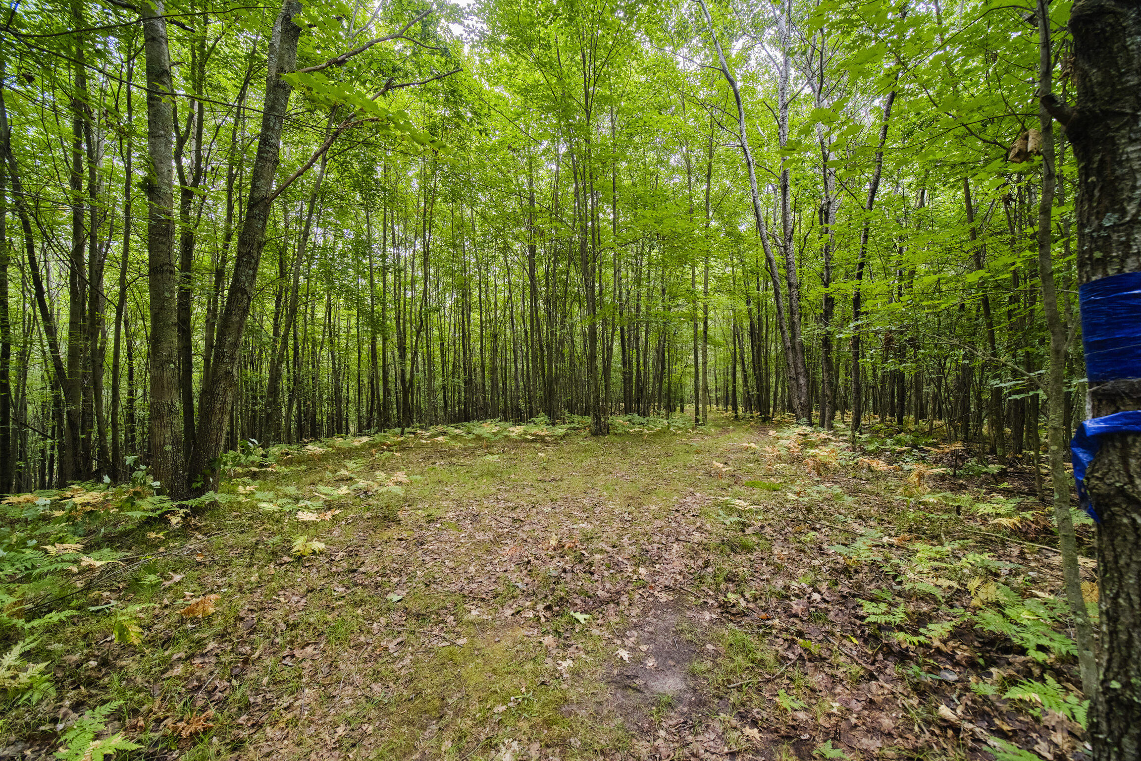 8089 Hunter's Ridge Trail