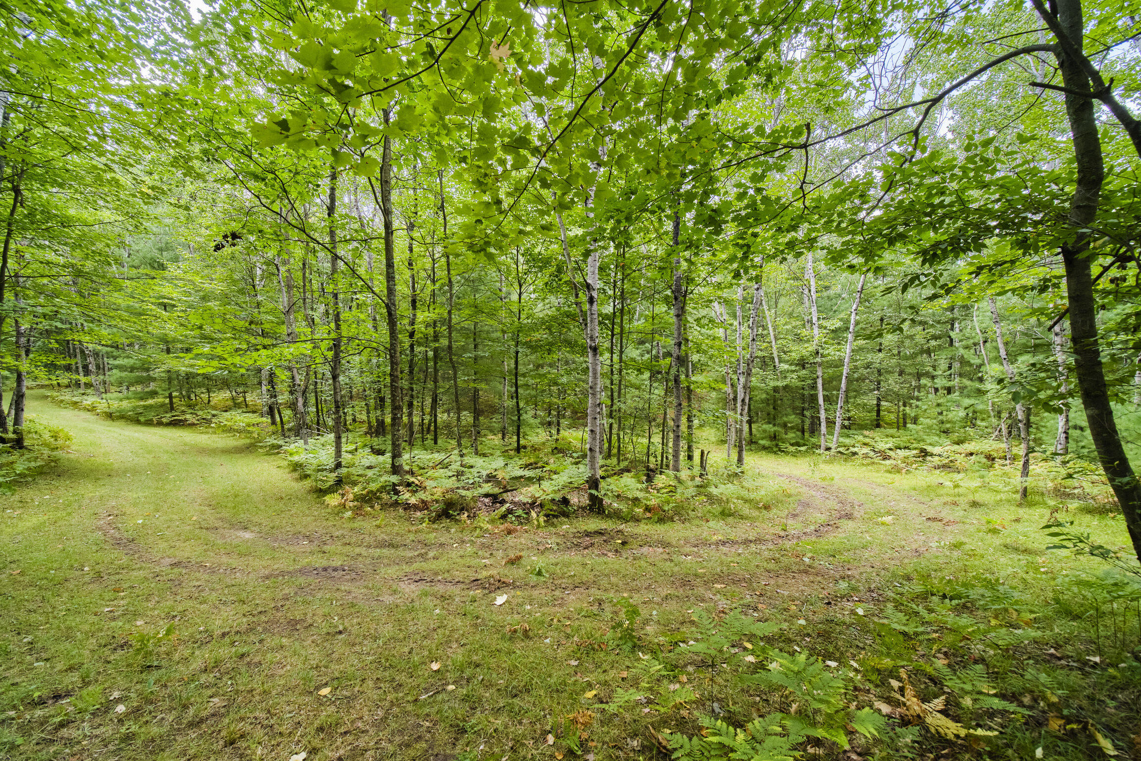 8089 Hunter's Ridge Trail