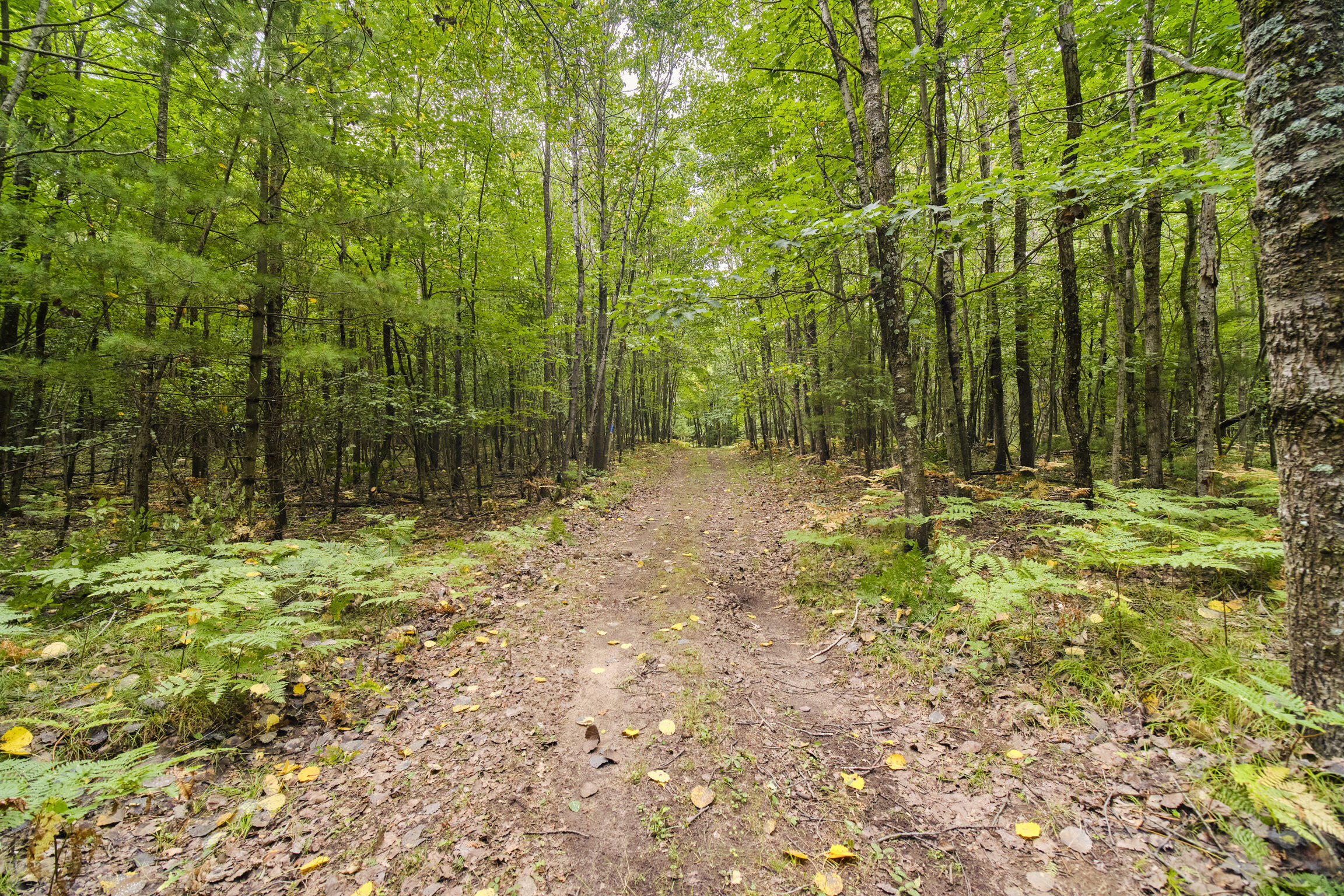 8089 Hunter's Ridge Trail