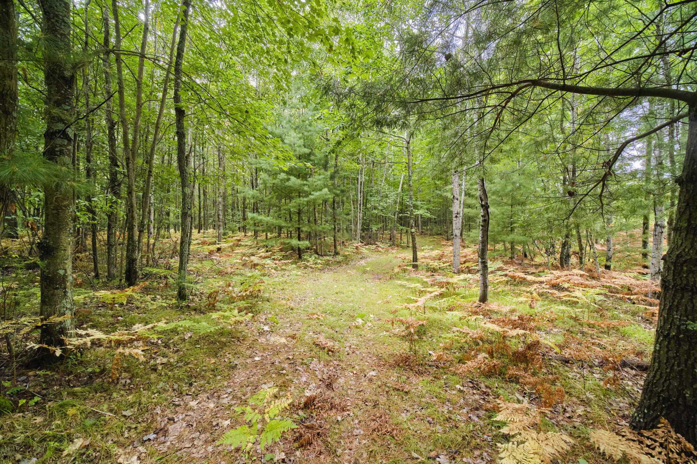 8089 Hunter's Ridge Trail