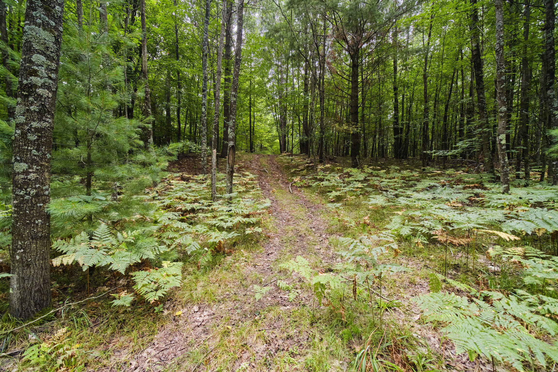 8089 Hunter's Ridge Trail