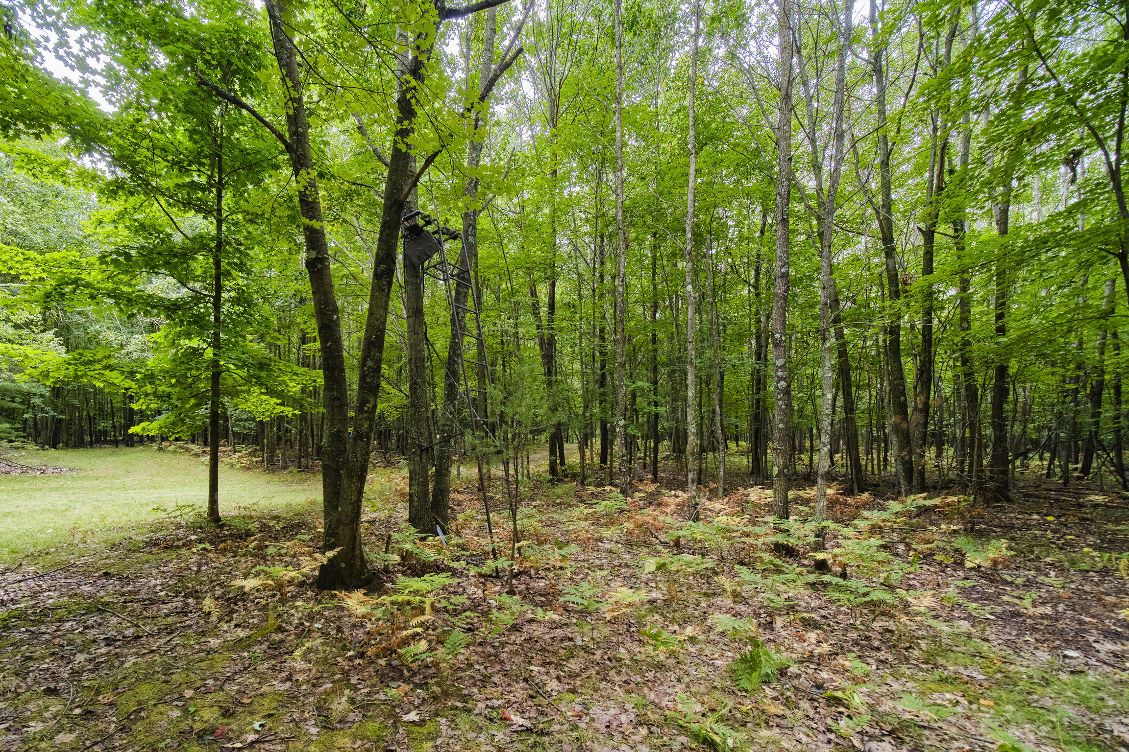 8089 Hunter's Ridge Trail
