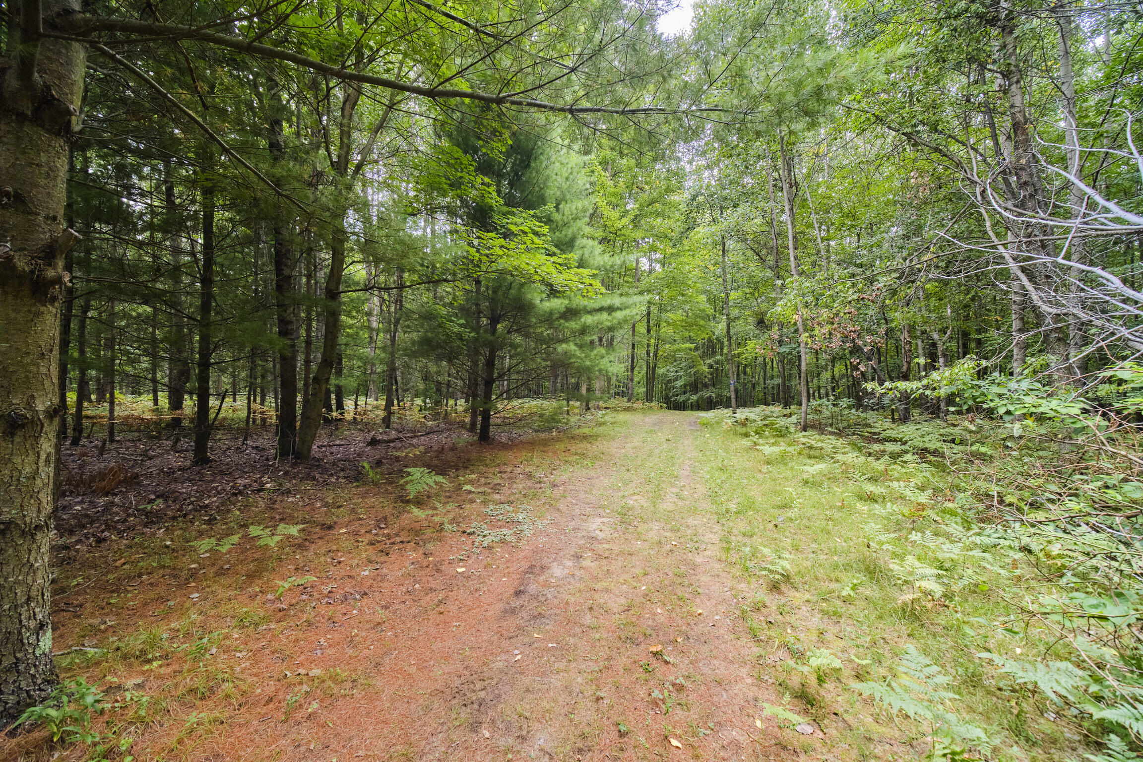 8089 Hunter's Ridge Trail