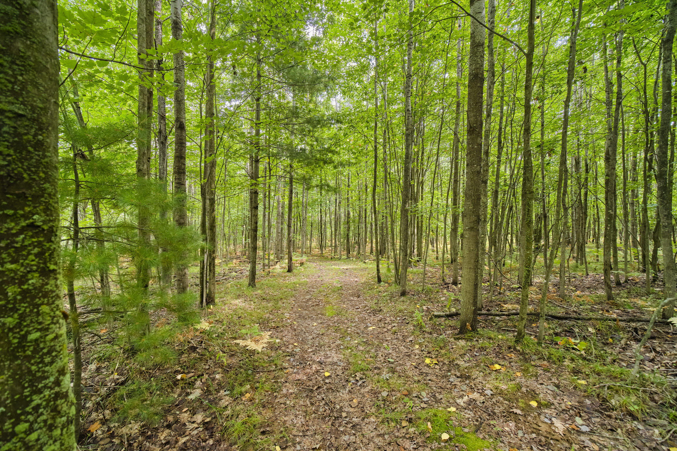 8089 Hunter's Ridge Trail