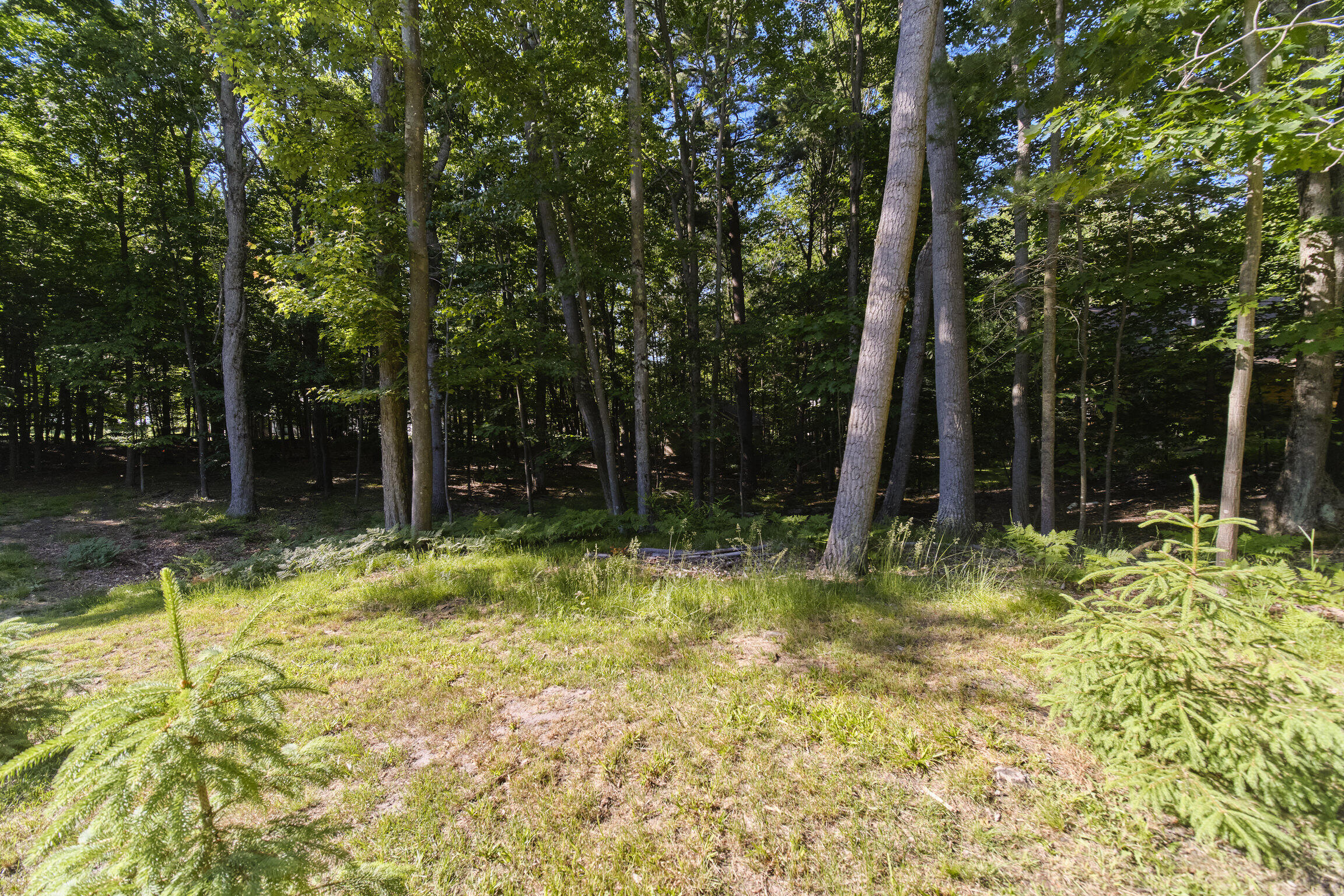 10826 Old Freesoil Road