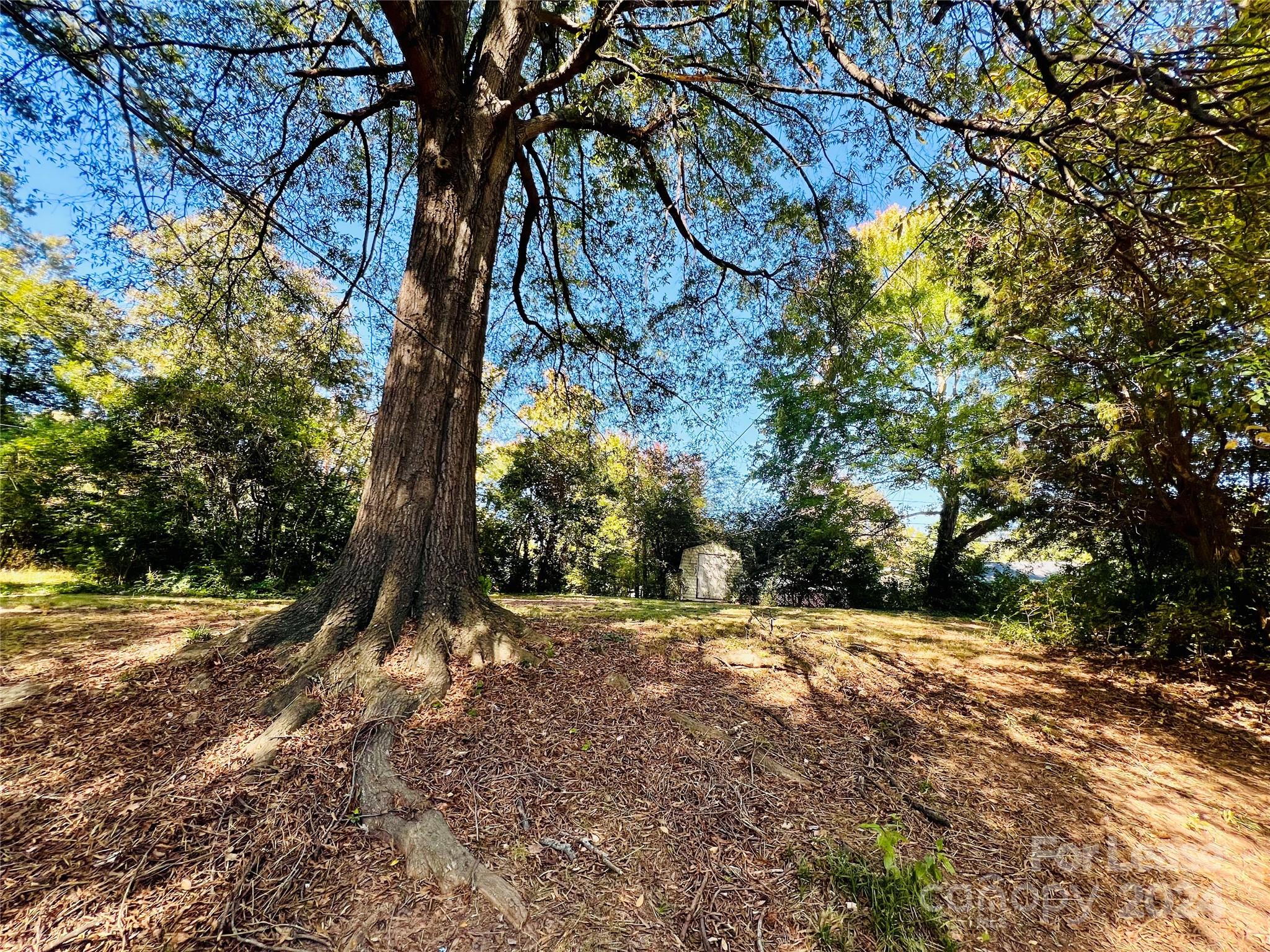 5147 Springview Road