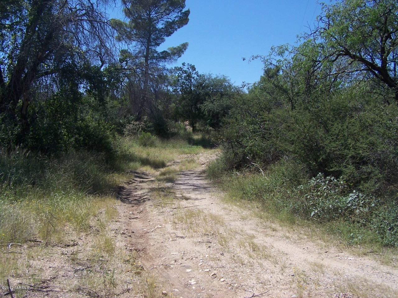 TBD E Mt Lemmon Highway