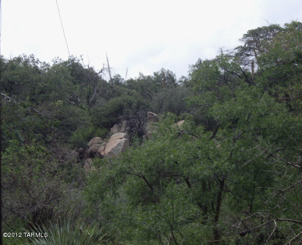 TBD E Mt Lemmon Highway