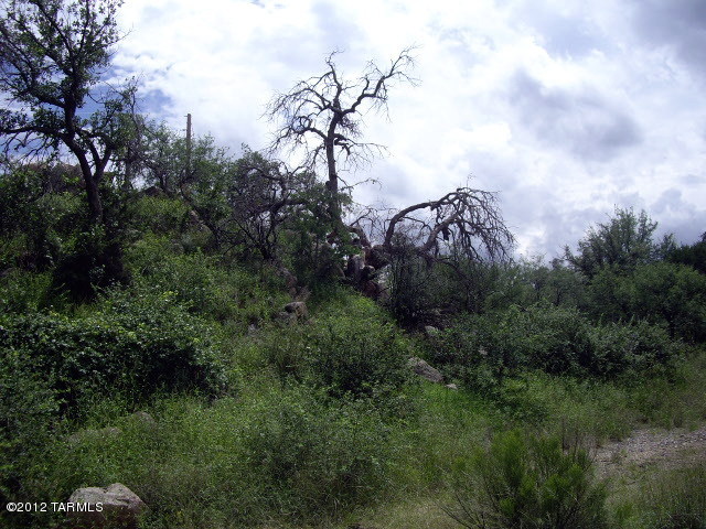 TBD E Mt Lemmon Highway
