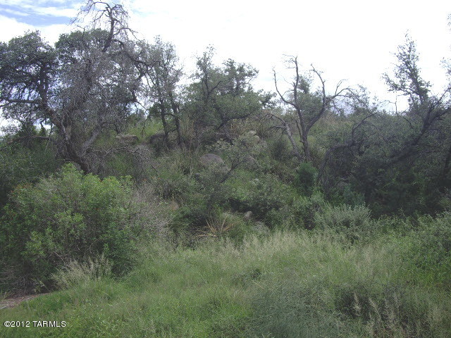 TBD E Mt Lemmon Highway
