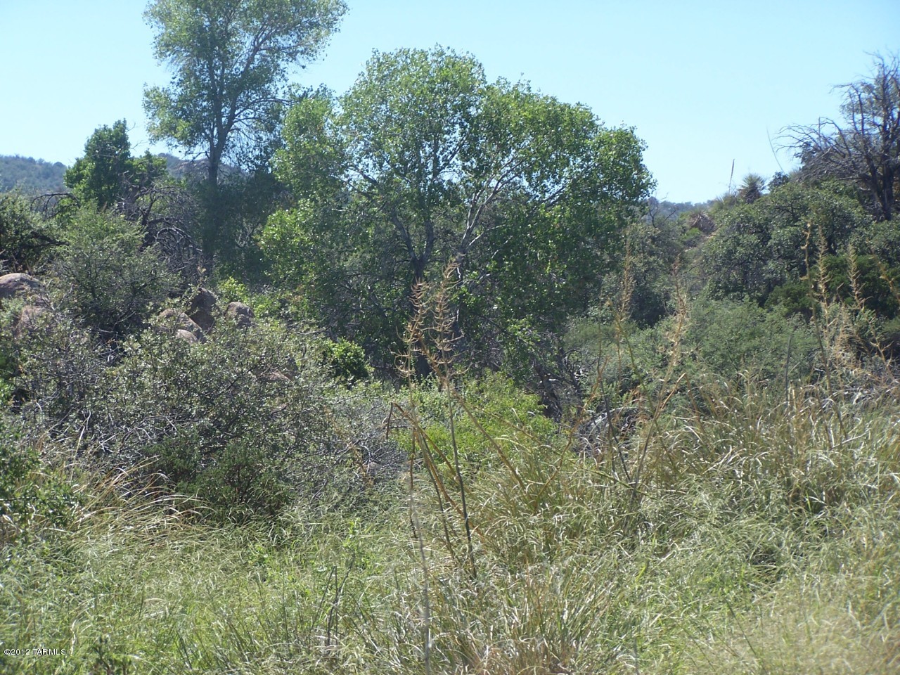 TBD E Mt Lemmon Highway