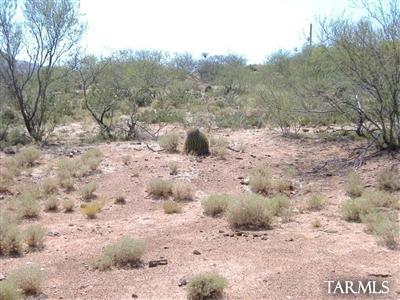 33836 S Cody Hills Road Unit: 0