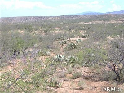 33836 S Cody Hills Road Unit: 0