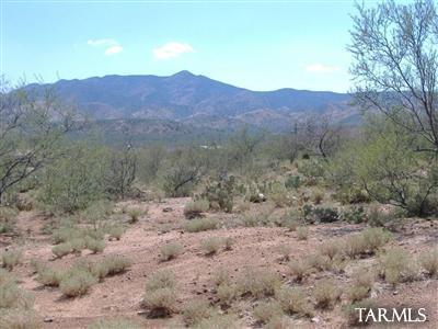 33836 S Cody Hills Road Unit: 0