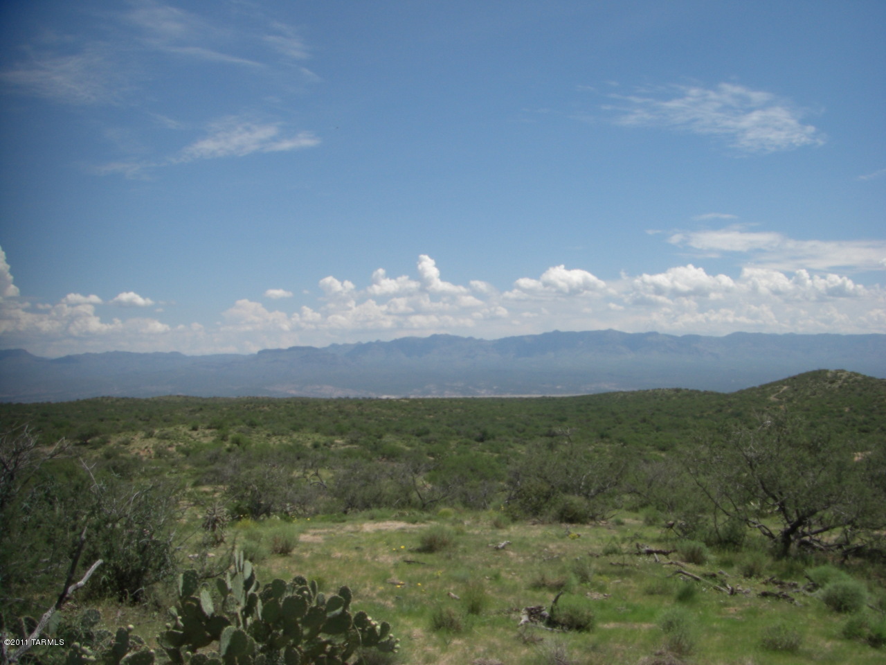 33836 S Cody Hills Road Unit: 0