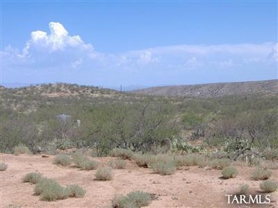 33836 S Cody Hills Road Unit: 0