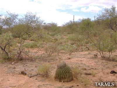 33836 S Cody Hills Road Unit: 0