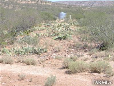 33836 S Cody Hills Road Unit: 0