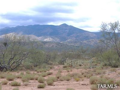 33836 S Cody Hills Road Unit: 0