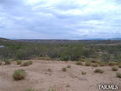 33836 S Cody Hills Road Unit: 0