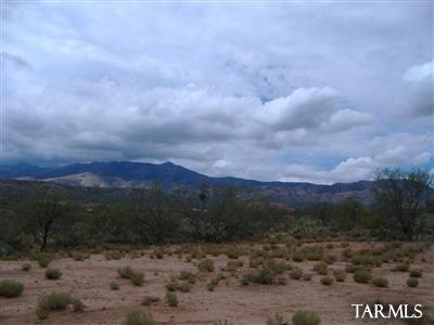 33836 S Cody Hills Road Unit: 0