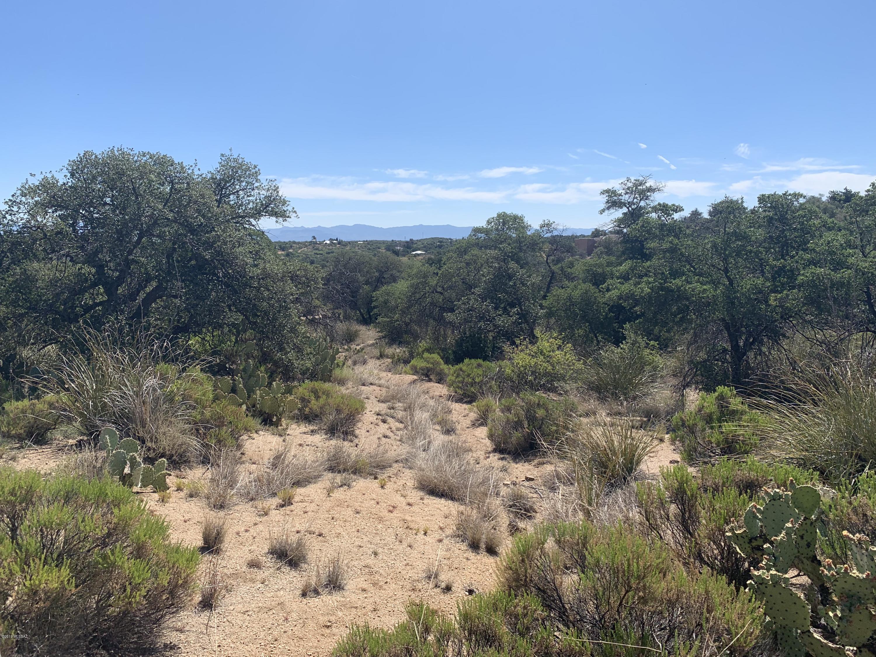 TBD N JAVALINA Street