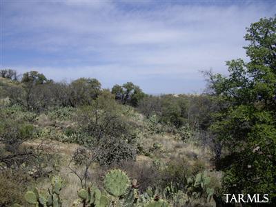 TBD N JAVALINA Street