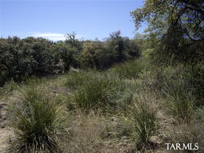 TBD N JAVALINA Street