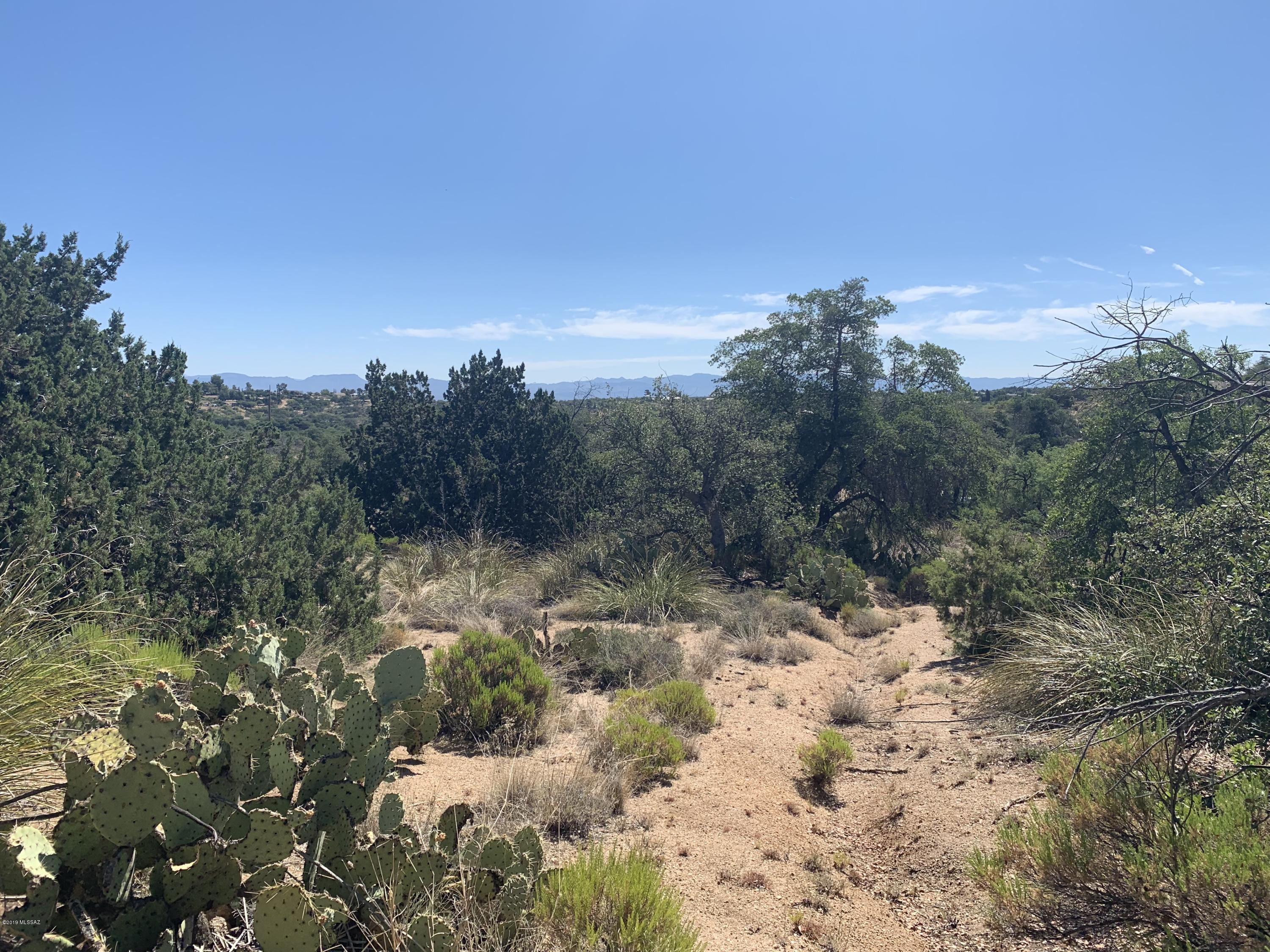 TBD N JAVALINA Street