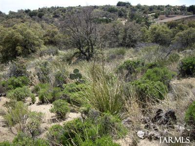 TBD N JAVALINA Street