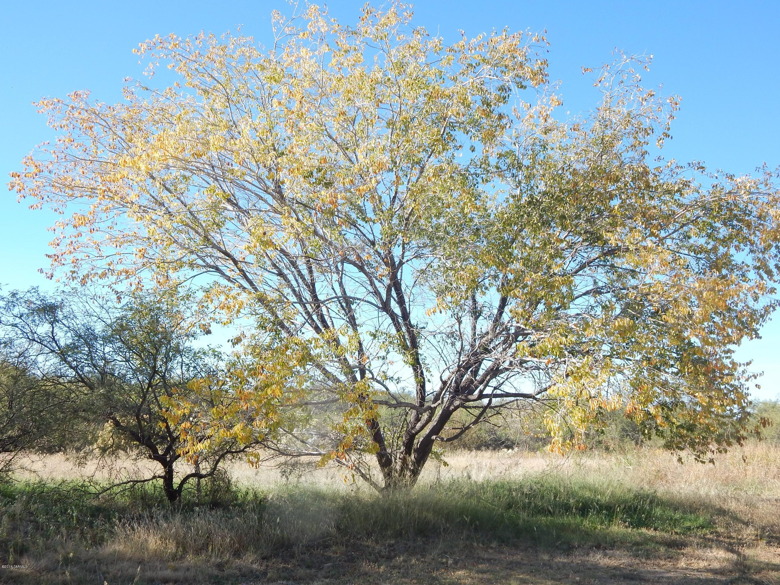 TBD E American Avenue Unit: 0